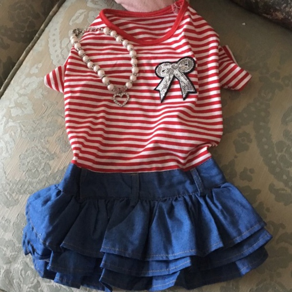Dog dress large